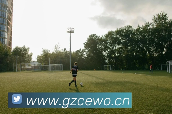 多媒体互动体验