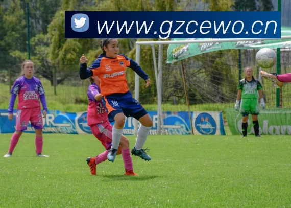 爱游戏ayx登录平台APP 高清赛事图